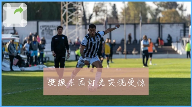 樊振东因灯光突现受惊